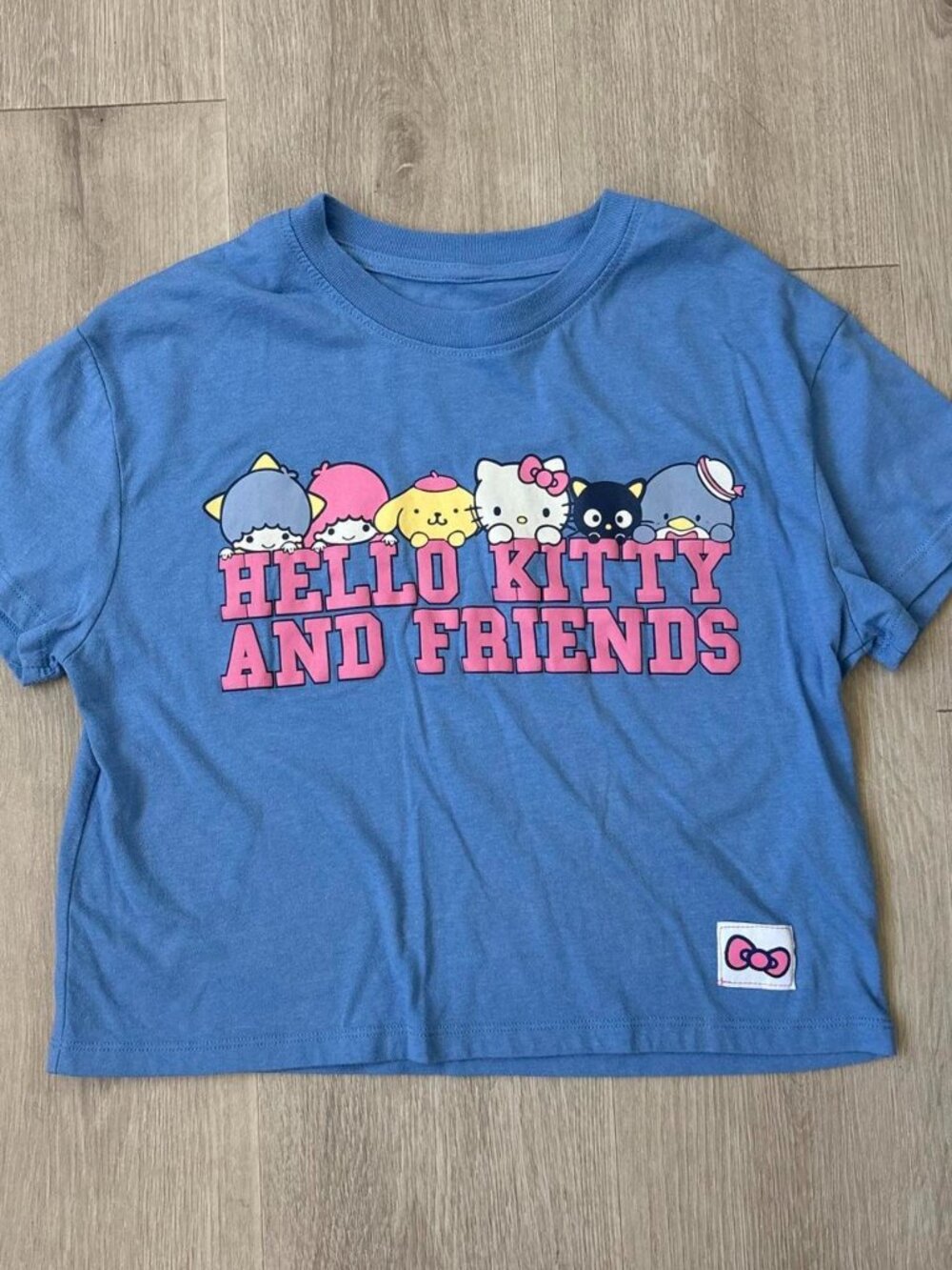 Girls Hello Kitty & Friends Blue Graphic Crop T-Shirt Size L Sanrio